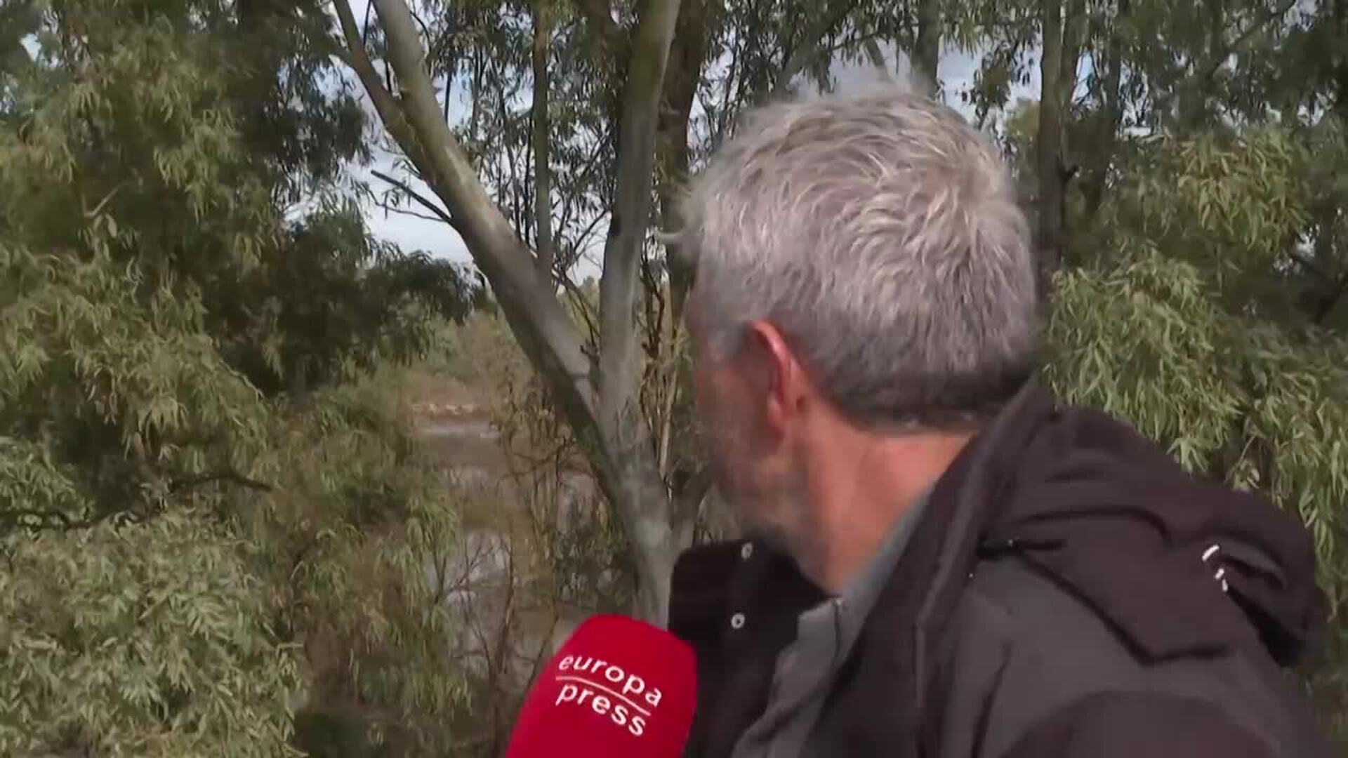 Ganadero extremeño pide ayuda para salvar 500 ovejas aisladas por el temporal: "Es un sinvivir"