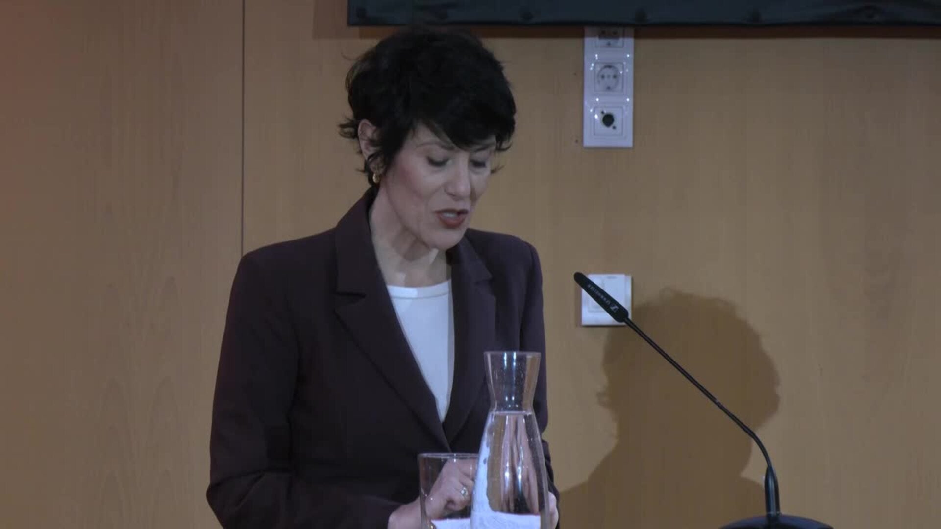 El Gobierno dice que el CES respalda la regularización de migrantes