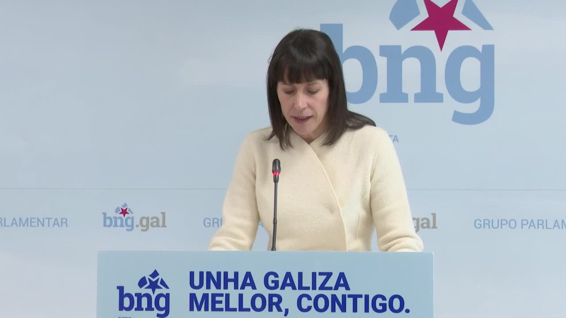 BNG y PSdeG celebran como un "triunfo" para Galicia el archivo de Altri