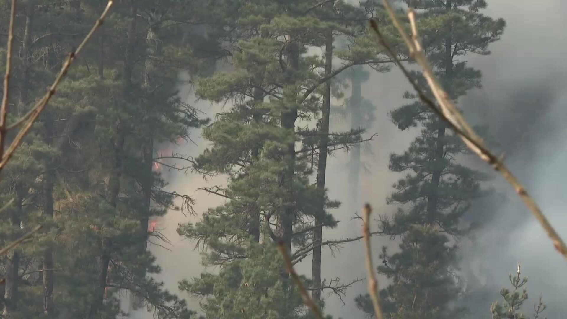 Provocados 60 incendios forestales en 24 horas en Cantabria, 36 de ellos activos este miércoles