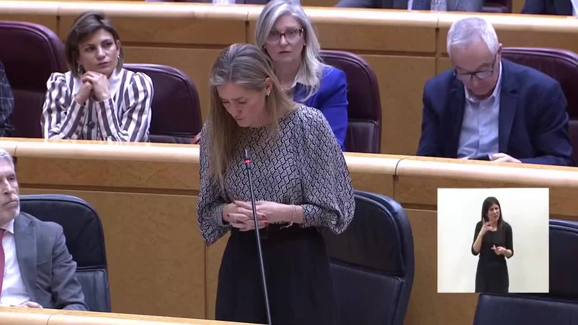 Aagesen defiende que los planes en redes eléctricas "beneficiarán a los territorios"