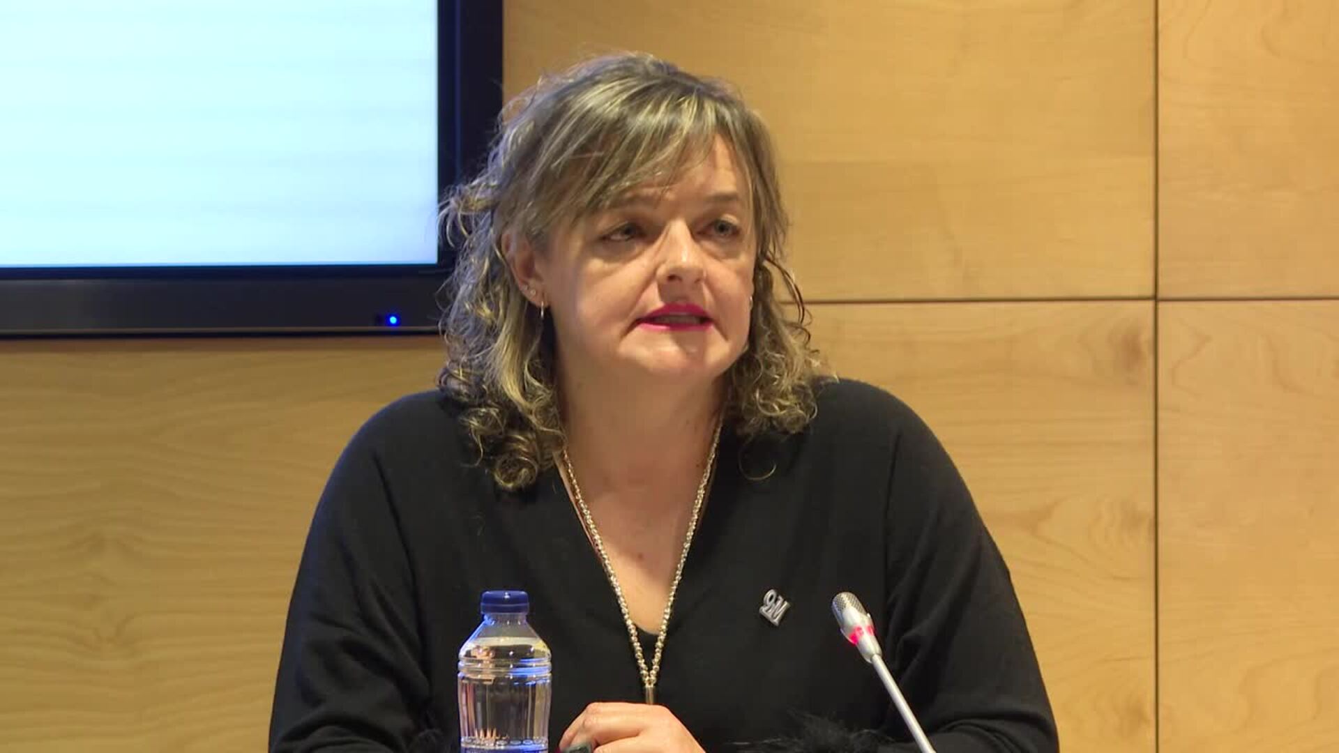 Descienden un 5% las denuncias de desaparecidos en España durante 2025, según Interior