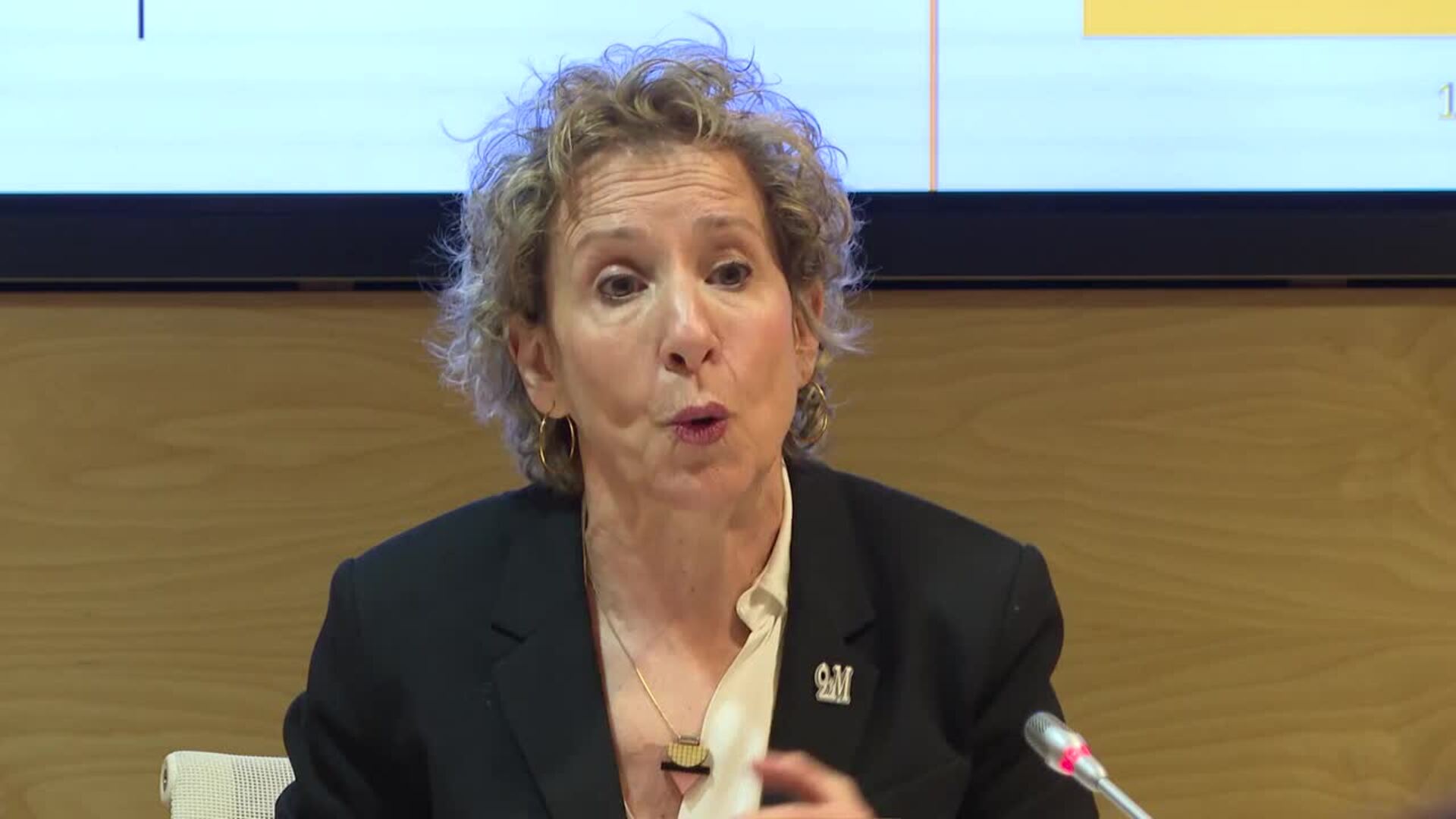 Interior afirma que las Fuerzas de Seguridad no abandonan ninguna búsqueda de desaparecidos