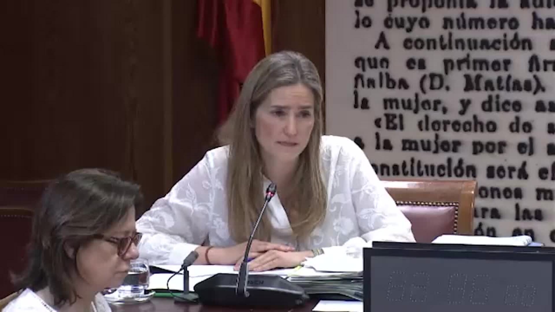 Aagesen aboga por que empresas publiquen toda su información sobre apagón