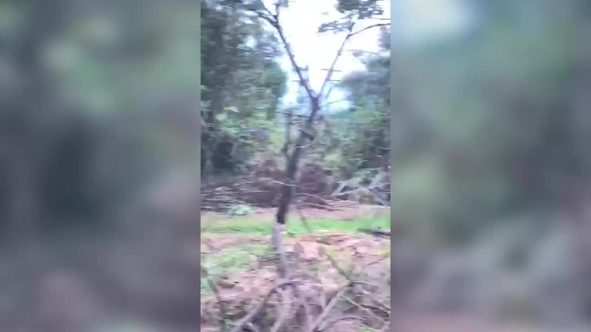Un avión de transporte del Ejército de Colombia se estrella en el sur del país