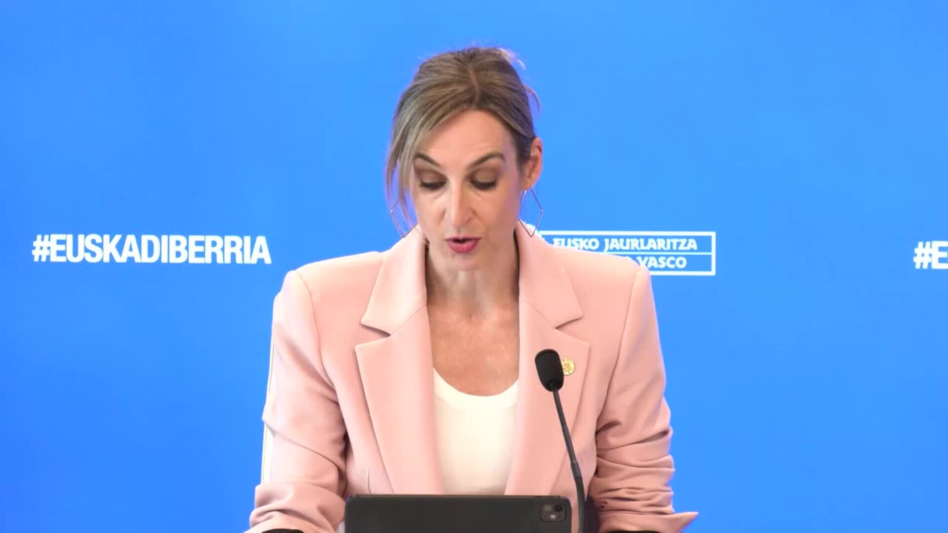 Gobierno Vasco destaca que 'Anboto' ha recibido "mismo tratamiento" que cualquier otra reclusa