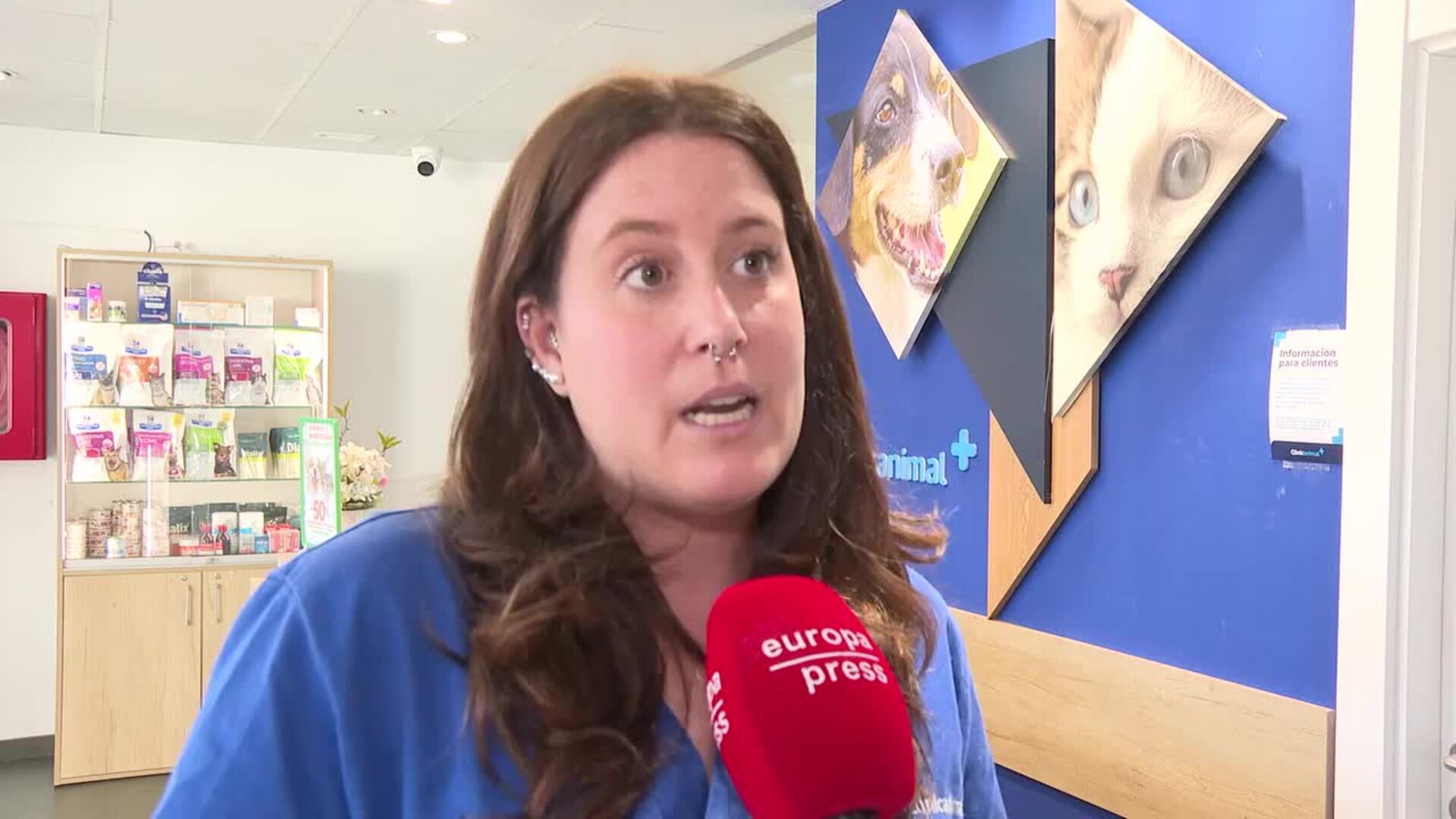 Veterinaria recomienda una revisión antes de viajar con animales para evitar parásitos