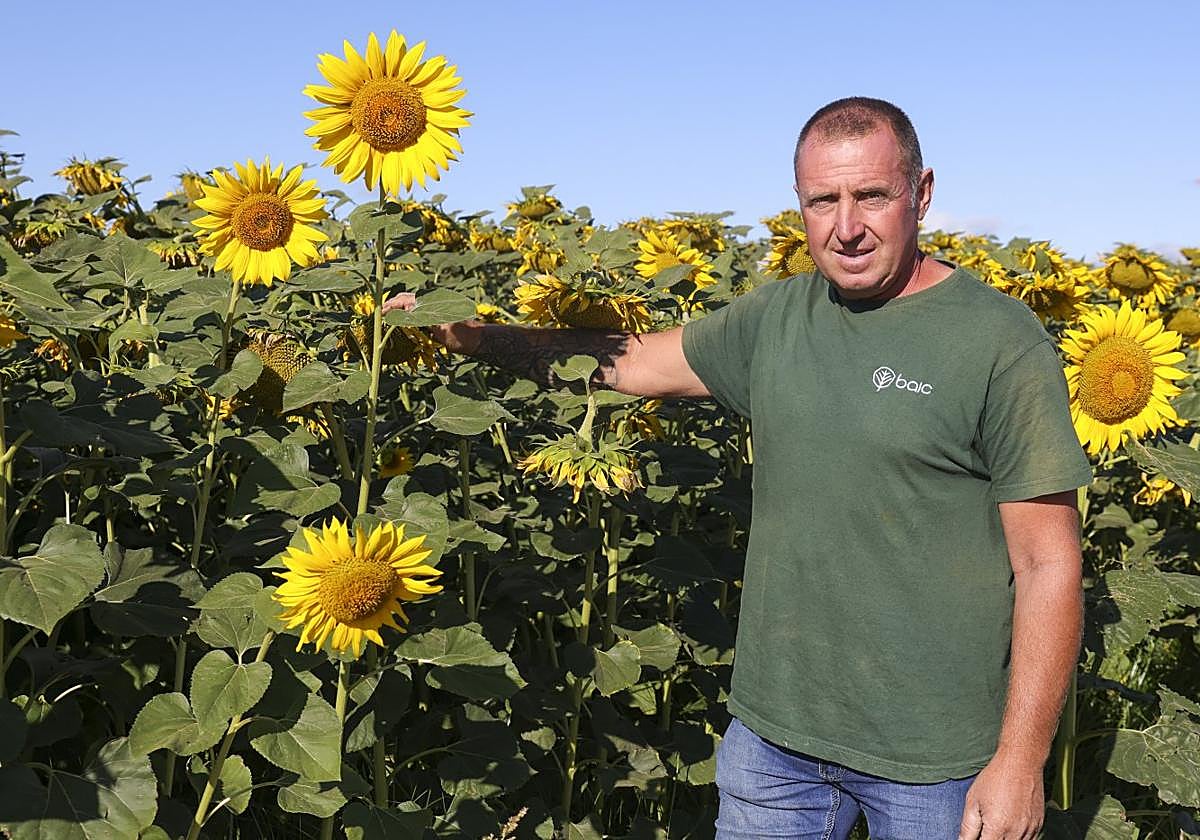 José Luis Cuadrado es agricultor en la zona de Miajadas