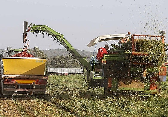 La Unión protestará en octubre por la «ruinosa» campaña agraria