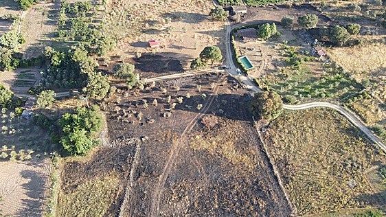 Detenido un hombre de 39 años como presunto autor de los incendios de Cañamero