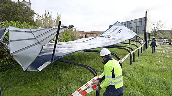 Cincuenta millones para que los ayuntamientos extremeños y andaluces contraten a parados para reparar daños de los temporales
