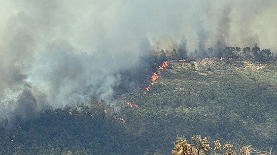 El incendio de Casas de Millán obliga a evacuar a 650 personas de esta localidad y a 150 vecinos de Grimaldo