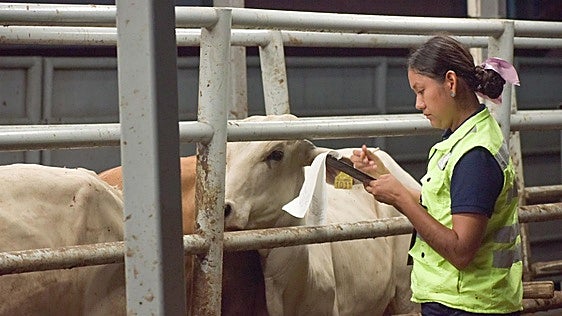 La Aemps endurece el control de varias vacunas veterinarias a partir de noviembre: cuáles son y a qué animales afecta