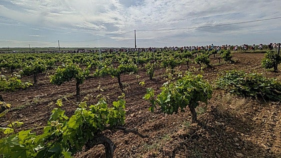 La Unión reclama «transparencia» en la inversión de 20 millones en Tierra de Barros