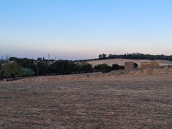 Un incendio entre los Lebratos y la Dehesilla en Badajoz moviliza medios aéreos del Infoex