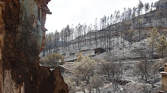 La Junta traslada el Consejo de Gobierno a Las Hurdes para anunciar las ayudas por el incendio de Pinofranqueado