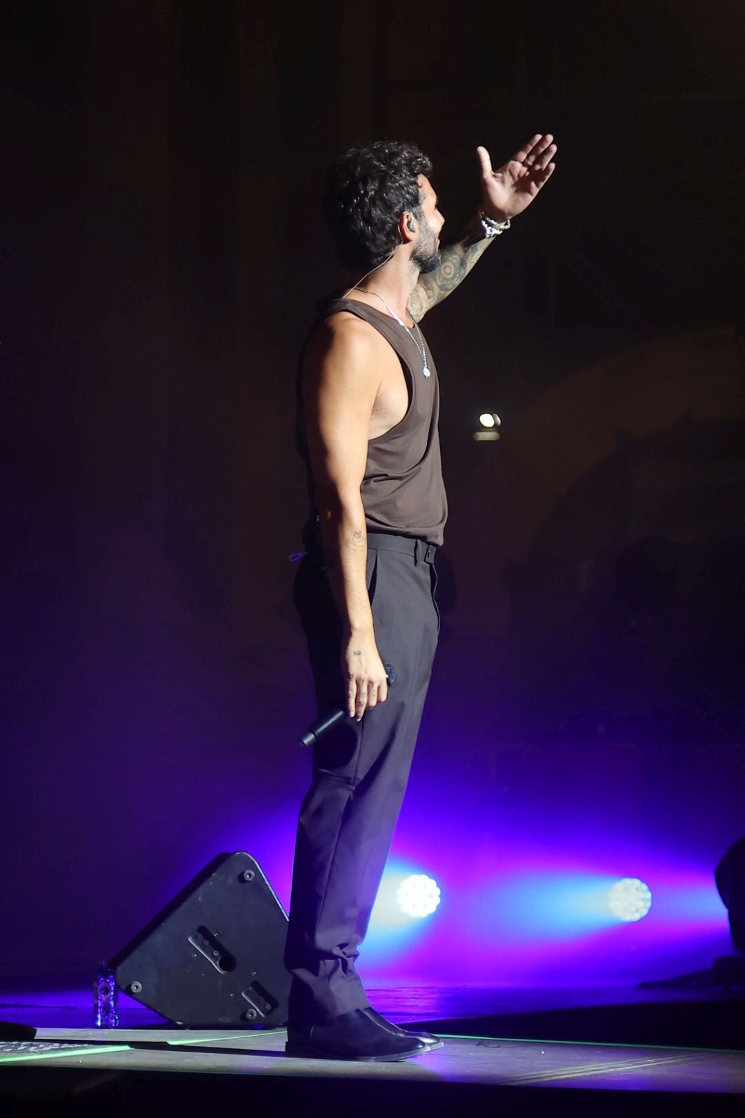 Las mejores imágenes del concierto de Antoñito Molina en el Stone