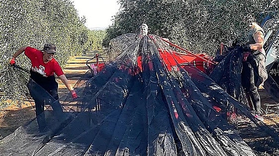 Las exportaciones extremeñas alcanzan los 2.176,9 millones de enero a julio de 2026, un 5% interanual menos