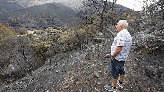 Casi cien alojamientos turísticos y 74 trabajadores del campo cobrarán ayudas por los incendios