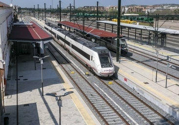 Trenes estacionados en la estación de Mérida, por donde pasa todo el tráfico ferroviario de mercancías desviado por Extremadura.