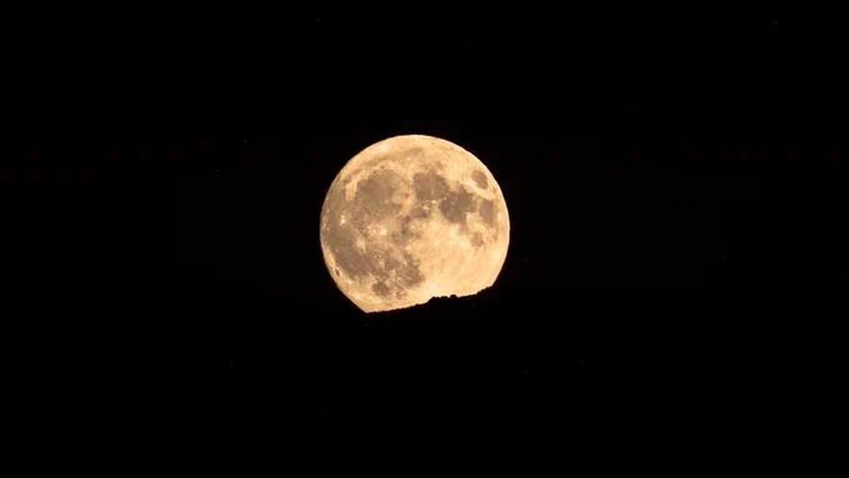 La Luna del Ciervo ilumina el cielo este 29 de julio: por qué la astrología considera este el día más afortunado del año