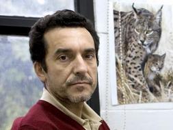 Francisco Palomares, uno de los mejores conocedores del felino más amenazado del planeta. / Efe