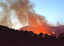 Un incendio forestal se acerca a una urbanización en Mallorca