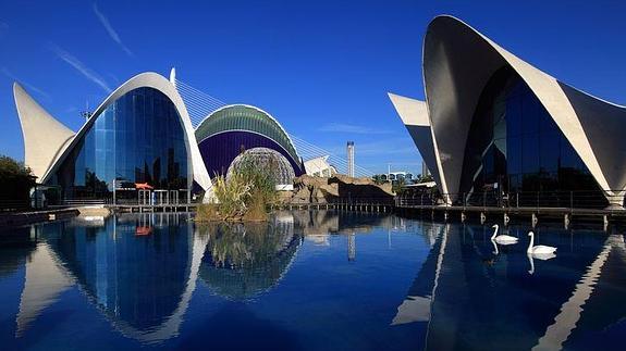 El Oceanogràfic.