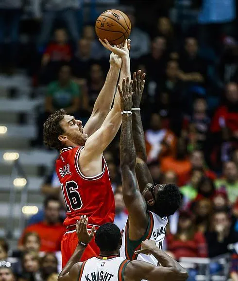 Pau Gasol. 