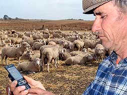 El uso del móvil ya es imprescindible para los pastores, aunque no siempre hay cobertura./BRÍGIDO