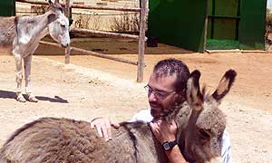 Los presos visitan a Platero