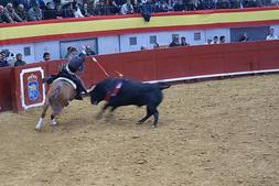 La corrida benéfica por Haití consigue recaudar 14.000 euros en entradas
