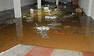 La tormenta inundó garajes y viviendas::RAMÓN GATO