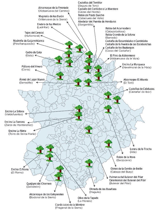 El 'top 30' de los árboles extremeños