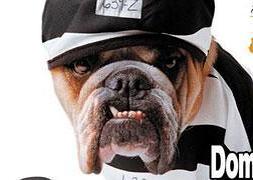 SOS Perrera y los comerciantes de San Roque organizan un festival solidario