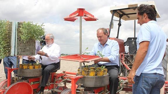 Cañete y Monago manejan plantones de tomate en una cooperativa de Miajadas.