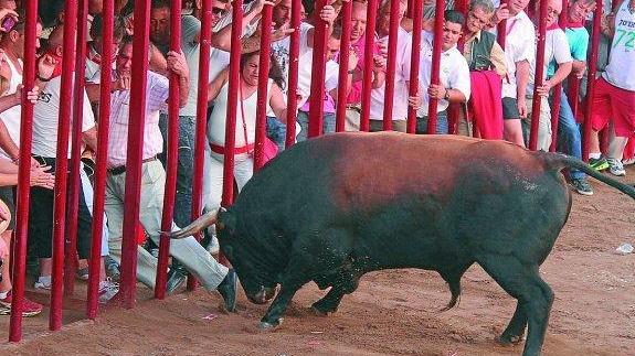 Un herido grave y otro leve durante la lidia del toro 'Flojón' en Coria