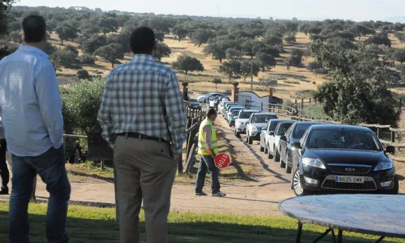 Una larga fila de coches accede a El Toril poco después de las nueve de la mañana, ayer. :: brígido