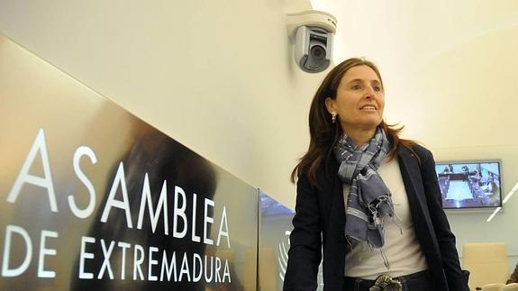 La exconsejera de Sanidad entre 2007 y 2011, María Jesús Mejuto, en una comparecencia en la Asamblea. 