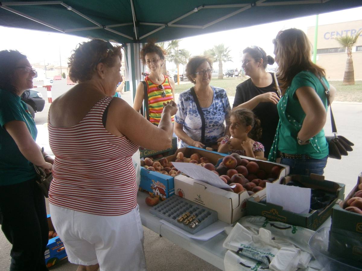 Venta de fruta de AFAD en el mercadillo de Villanueva. :: f. h.