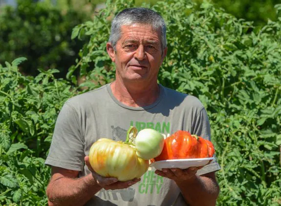 Juan Antonio Corbacho sujeta los dos tomates de mayor peso (2,4 y 1,9 kg). :: Casimiro moreno