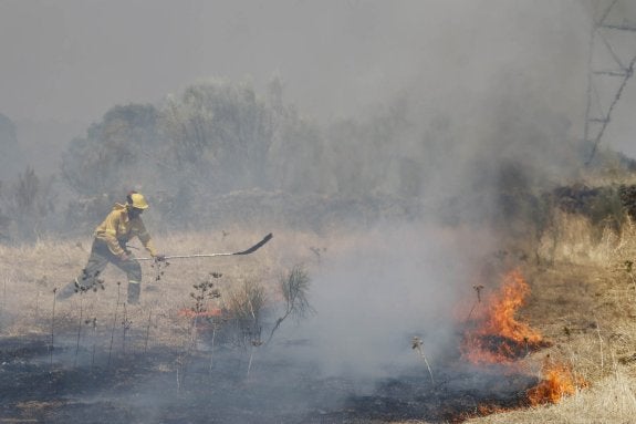 Un bombero forestal trabajando en la extinción de ayer por la tarde en Oliva de Plasencia. :: Andy solé