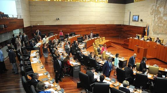 Imagen de UN pleno de la Asamblea.