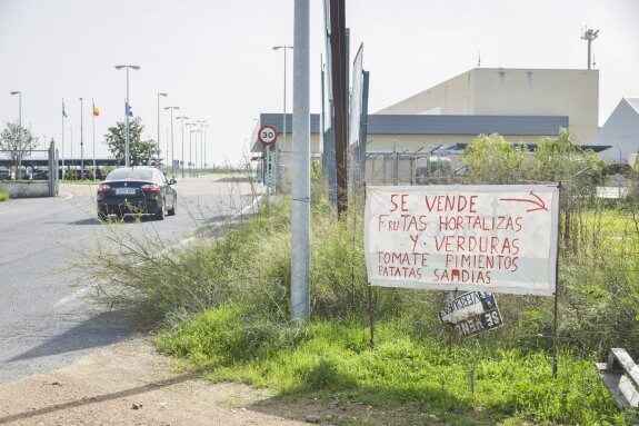 Acceso a la terminal del aeropuerto de Badajoz, con su aparcamiento gratuito. :: j.v. arnelas