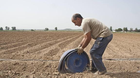 Imagen de archivo de un trabajador preparando la manguera para humedecer la tierra. 