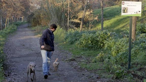 Un hombre pasea sus perros por la nueva zona canina del Parque del Príncipe, con el cartel ya colocado. 