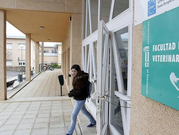 Facultad de Veterinaria de la UEx, en Cáceres. :: hoy