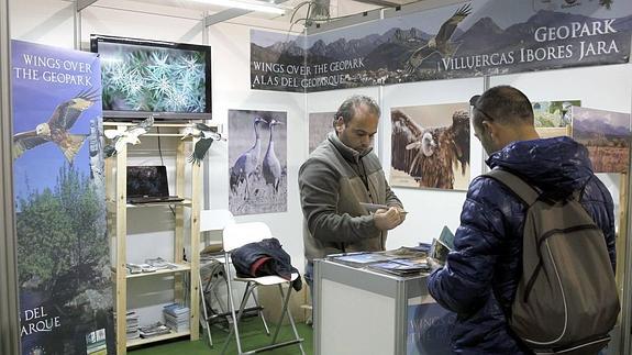 Visitante en un stand de FIO.