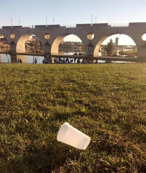 Un vaso de plástico tirado en el césped del parque. HOY