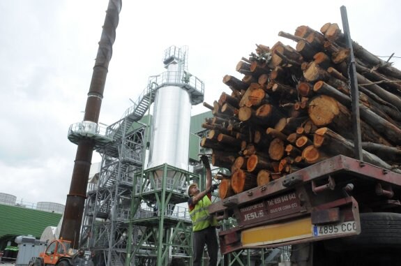 Planta de biomasa de Mérida, única instalación renovable abierta en Extremadura el año pasado. :: brígido